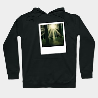 Forest glow Hoodie